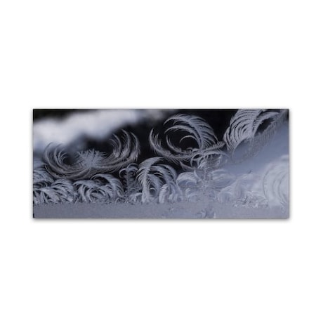 Kurt Shaffer 'Fabulous Frost' Canvas Art,20x47